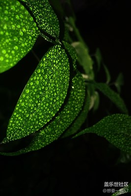 9原創(chuàng)攝影，我只是可憐的三星迷，想要一部S7