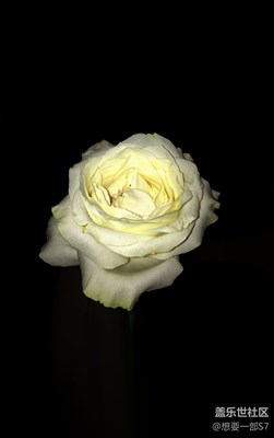 4原創(chuàng)攝影，我只是可憐的三星迷，想要一部S7