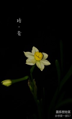 5原創(chuàng)攝影，我只是可憐的三星迷，想要一部S7