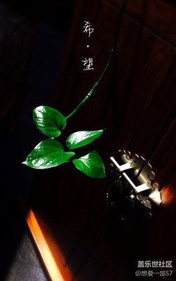 10原創(chuàng)攝影，我只是可憐的三星迷，想要一部S7