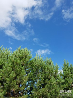 藍(lán)天