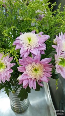 漂亮的花兒