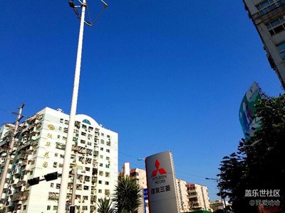 路邊隨拍天氣太熱了