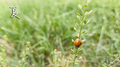 夏天的感覺(jué)