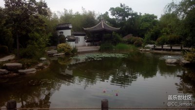之前的隨手拍，某個(gè)公園