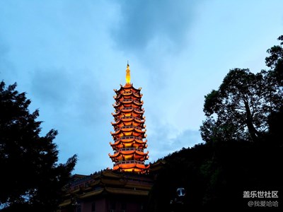 終于等到天黑燈亮了