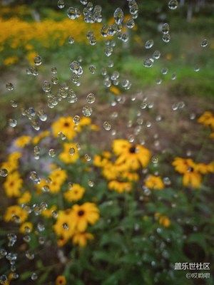 把手機(jī)攝影當(dāng)成一種樂(lè)趣