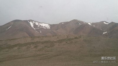 祁連山夏季牧場，我在這避暑，大家都來降溫