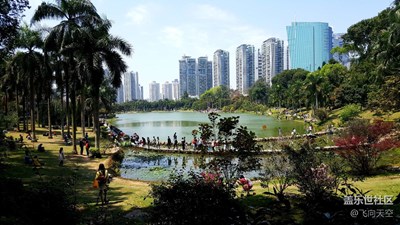 夏日的校園