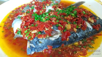 【美食環(huán)游之旅】+韶關(guān)+剁椒魚頭