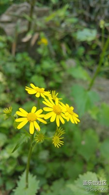 考試前壓力太大，發(fā)圖放松下。