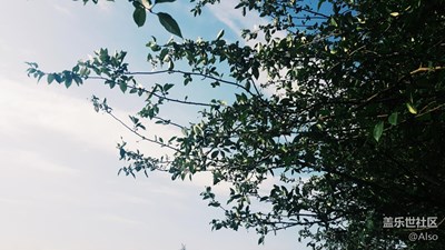 陽光與藍(lán)天