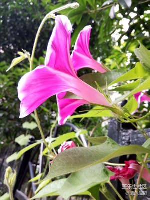 太陽(yáng)的方向