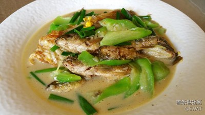 ?【美食環(huán)游之旅】+韶關(guān)+煮魚