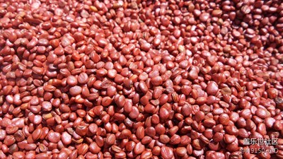 以前的S4 ZOOM拍攝的