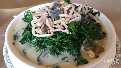 ?【美食環(huán)游之旅】+韶關(guān)+上湯辣椒葉