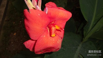 近拍——以前S4 ZOOM拍攝的