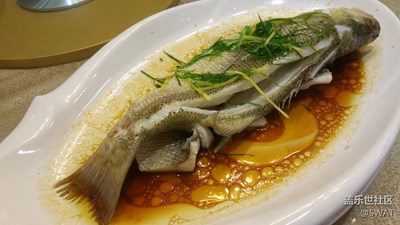 ?【美食環(huán)游之旅】+韶關(guān)+清蒸魚