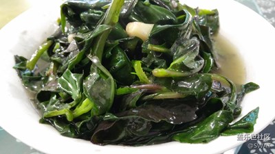 ?【美食環(huán)游之旅】+韶關(guān)+青菜