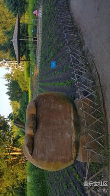 植物園農(nóng)作物