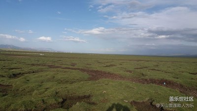 祁連山的天真藍！