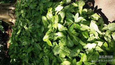 拍吧??！    拍