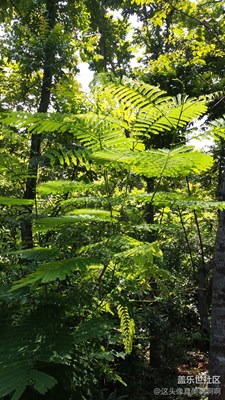 金牛嶺   續(xù)