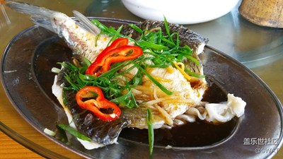 ?【美食環(huán)游之旅】+廣州+蒸魚