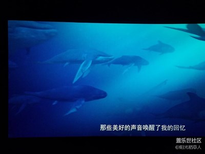 大魚海棠