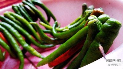 七姨之拍（兒時回憶）