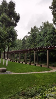 只要景色好，手機(jī)堪比單反