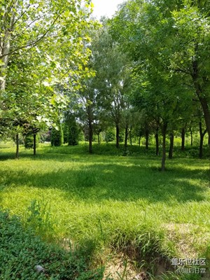 如詩(shī)如畫(huà)的綠