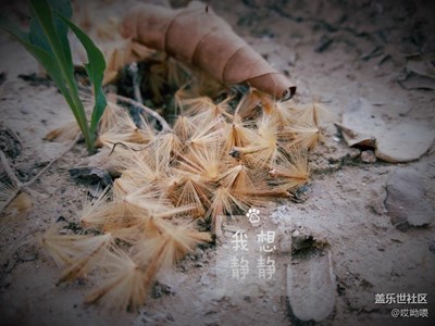 帶著C7嗨起來(lái)