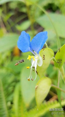 心中有美處處唯美！