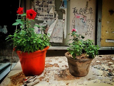 北京時(shí)間-6點(diǎn)