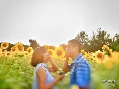 與向日葵的約會(huì)（三）愛情