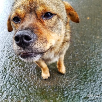 帶著S7游椏溪國際慢城