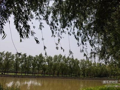 有點(diǎn)江南的味