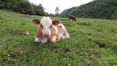 關(guān)山風(fēng)光