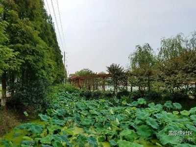 走在鄉(xiāng)村的小路上?