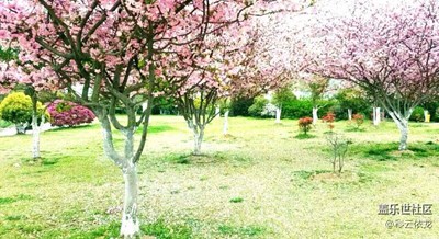 春天愛(ài)上了夏天