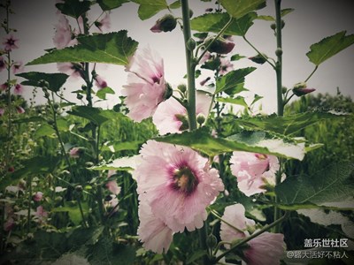 就是隨手拍拍！！