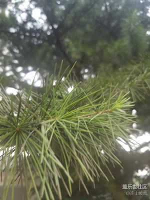 隨手一拍