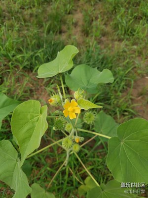 這個想必大家都熟悉