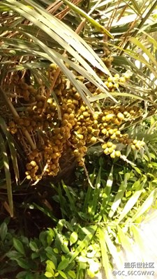 一次最多能上傳多少?gòu)垐D片呢？