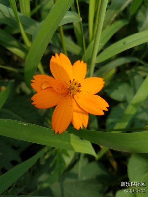 又不認(rèn)識拉