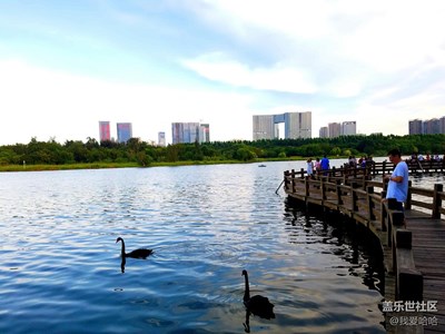 五緣灣公園散步隨拍