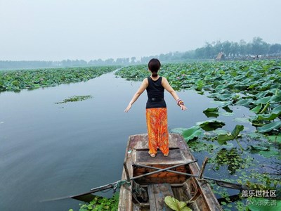 帶著S7去感受白洋淀的清晨