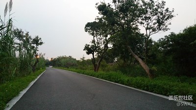 濕地