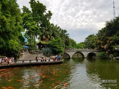 公園喂魚
